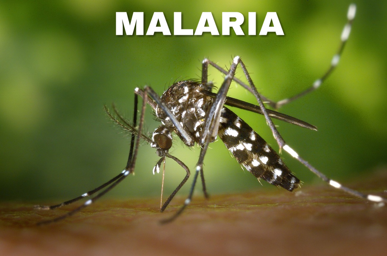 Rainy Season Disease and Prevention ( Common cold, Cough ...